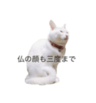 めるわたどく2（個別スタンプ：21）