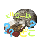 ハリネズミのあまぐり♂（個別スタンプ：4）