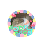 ハリネズミのあまぐり♂（個別スタンプ：7）