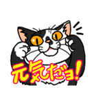 猫とりどり4（個別スタンプ：2）