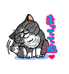 猫とりどり4（個別スタンプ：3）