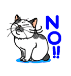 猫とりどり4（個別スタンプ：6）