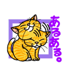 猫とりどり4（個別スタンプ：7）