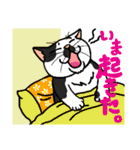猫とりどり4（個別スタンプ：10）