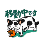 猫とりどり4（個別スタンプ：11）