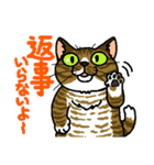 猫とりどり4（個別スタンプ：14）
