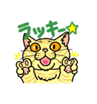 猫とりどり4（個別スタンプ：20）