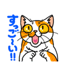 猫とりどり4（個別スタンプ：22）