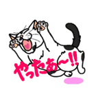 猫とりどり4（個別スタンプ：23）