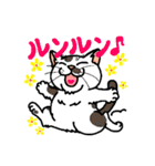 猫とりどり4（個別スタンプ：25）