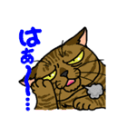 猫とりどり4（個別スタンプ：33）