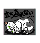 猫とりどり4（個別スタンプ：36）