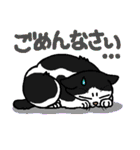 猫とりどり4（個別スタンプ：40）