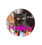 みおたんと愉快な仲間たち（個別スタンプ：16）