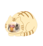 インコのフクちゃん（個別スタンプ：18）