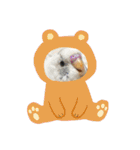 インコのフクちゃん（個別スタンプ：26）
