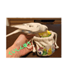 インコのフクちゃん（個別スタンプ：39）