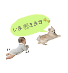 あやぱる②（個別スタンプ：3）