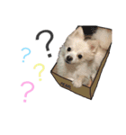 あやぱる②（個別スタンプ：8）