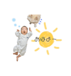 あやぱる②（個別スタンプ：11）