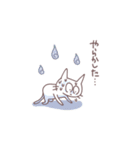 にょっぴのねこさんスタンプ（個別スタンプ：13）