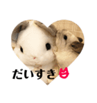 チンチラのおもちだよ（個別スタンプ：35）