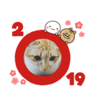 かわニャン（個別スタンプ：4）