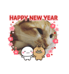 かわニャン（個別スタンプ：12）