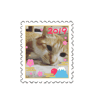 かわニャン（個別スタンプ：17）