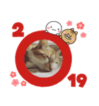 かわニャン（個別スタンプ：23）