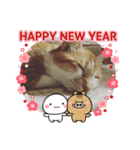 かわニャン（個別スタンプ：31）
