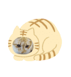 かわニャン（個別スタンプ：35）