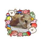 かわニャン（個別スタンプ：39）