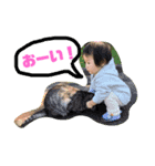 ここみんここみしゃん（個別スタンプ：2）