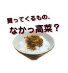 高菜ご飯（個別スタンプ：8）