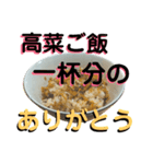 高菜ご飯（個別スタンプ：21）