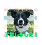 メリアとアキレウスVer.2（個別スタンプ：1）