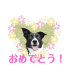 メリアとアキレウスVer.2（個別スタンプ：2）