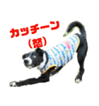 メリアとアキレウスVer.2（個別スタンプ：13）