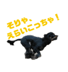 メリアとアキレウスVer.2（個別スタンプ：24）