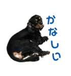 メリアとアキレウスVer.2（個別スタンプ：38）
