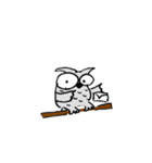 手書きのフクロウくん（個別スタンプ：1）