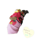 きゅうちゃんさくら（個別スタンプ：14）