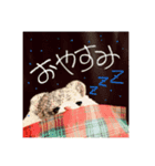 編みクマちゃん1（個別スタンプ：7）