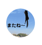 シマリスのくるる2（個別スタンプ：16）