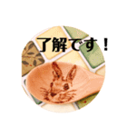 【ウッドバーニング作家】優しいスタンプ2（個別スタンプ：13）
