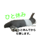 うさぎのもんちゃん＆チョッチョ 日常的会話（個別スタンプ：5）
