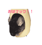 Macくんのいる生活…（個別スタンプ：1）