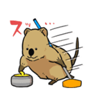カーリングクアッカワラビー（個別スタンプ：2）