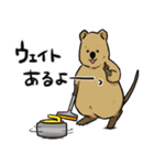 カーリングクアッカワラビー（個別スタンプ：30）